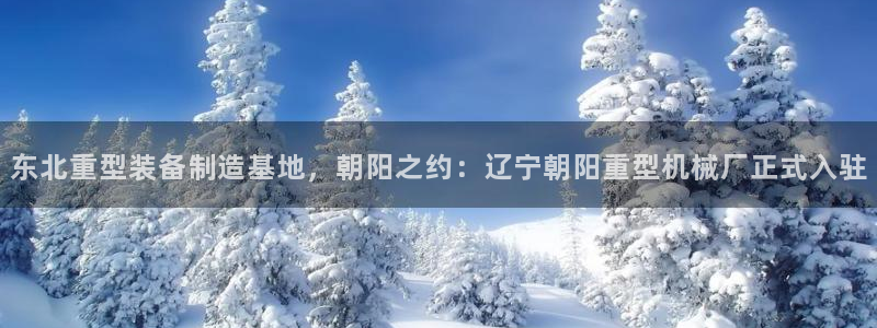 龙八国际手机版下载安装app