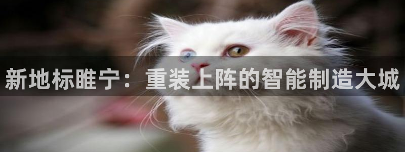 龙八国际娱乐官方网址