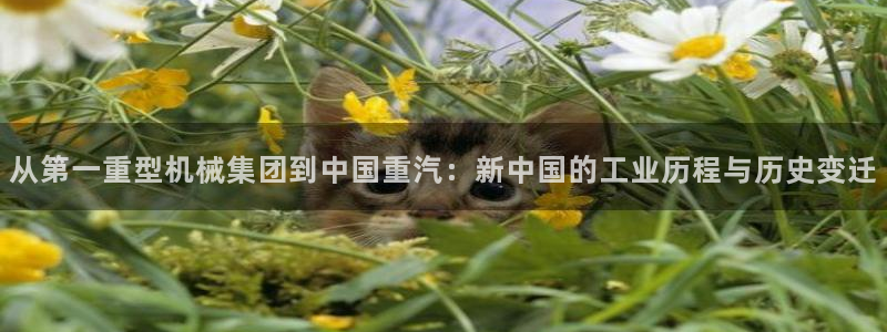 龙八国际娱乐 pt