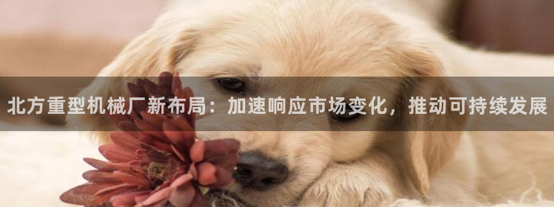 龙八国际手机版下载安装