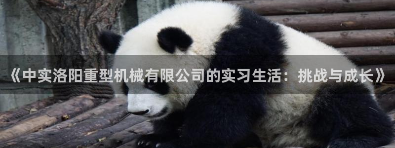 龙八国际苹果下载地址