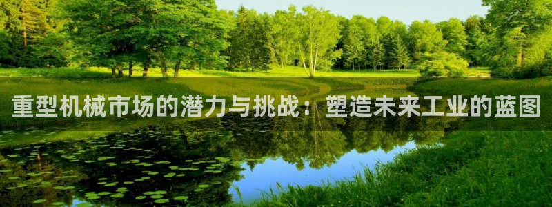 龙八国际现金