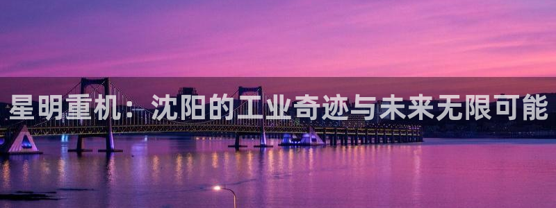 龙八国际客服