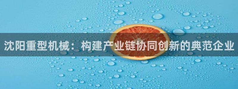 龙八国际优惠券