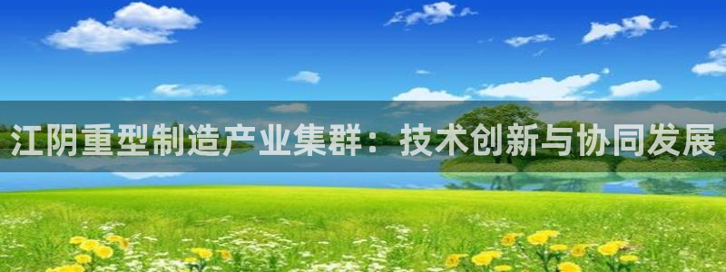 龙八国际p