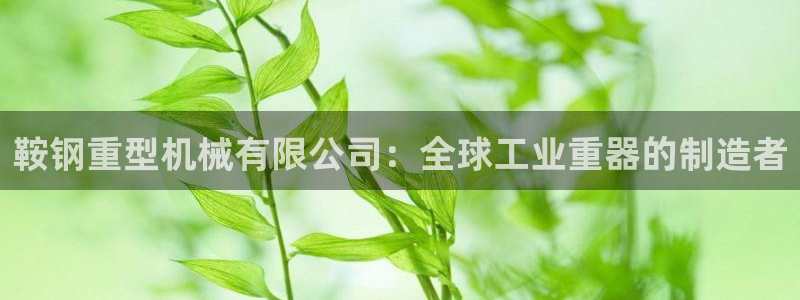 龙八国际客户端下载