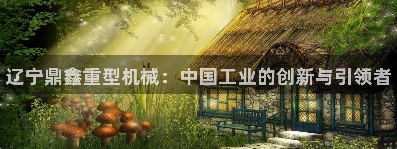 龙八国际优惠券