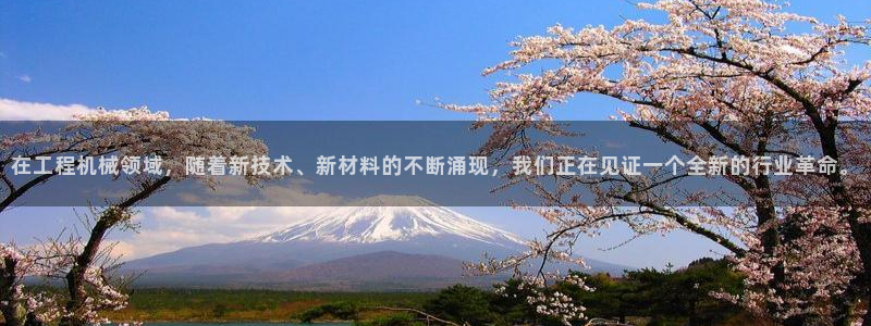 龙八国际城