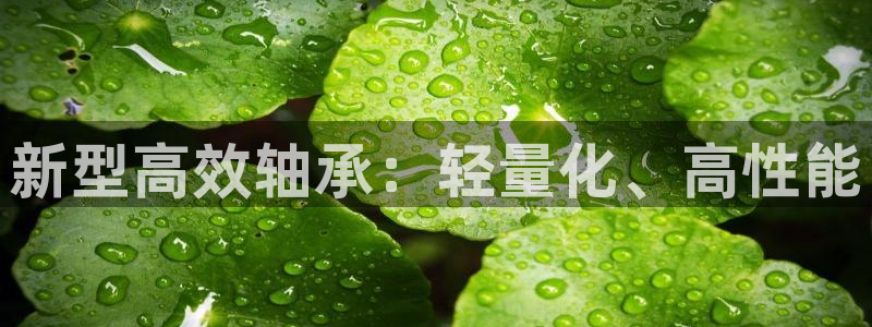 龙八国际游戏