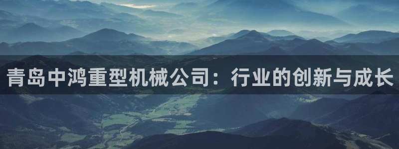 龙八国际有没有假