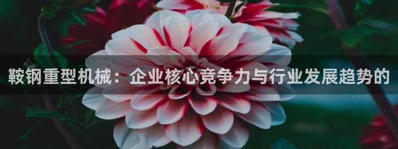 龙八国际客户端官网下载