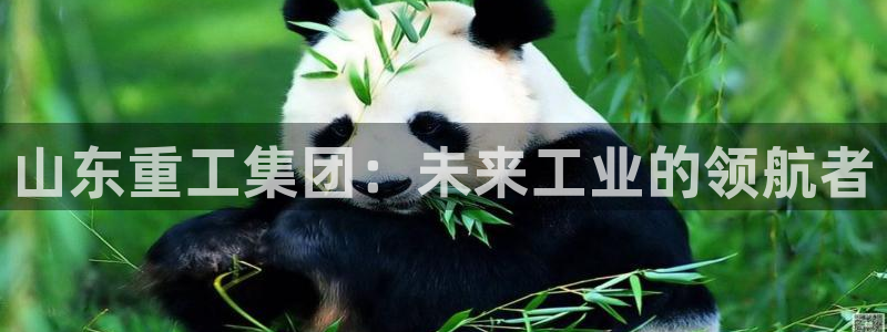 下载龙八国际手机版游戏