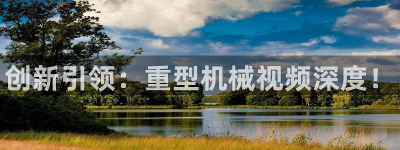 龙八国际是干什么的