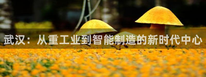 龙八国际pt游戏下载