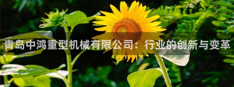 龙八国际头号玩家是谁