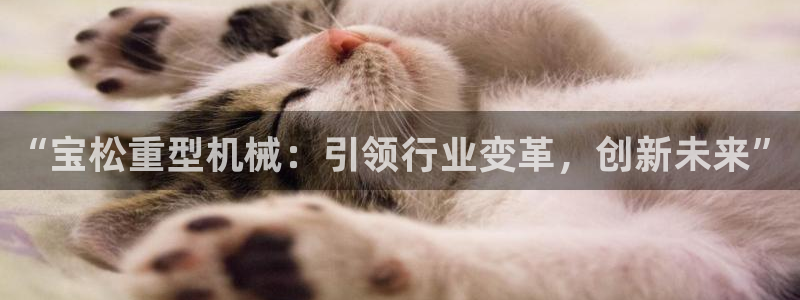 龙八国际视频入口