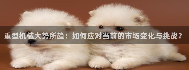 龙八国际app手机版下载苹果