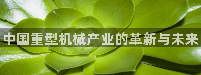 下载龙八国际官网