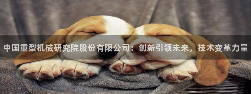 龙八国际app客户端下载不了