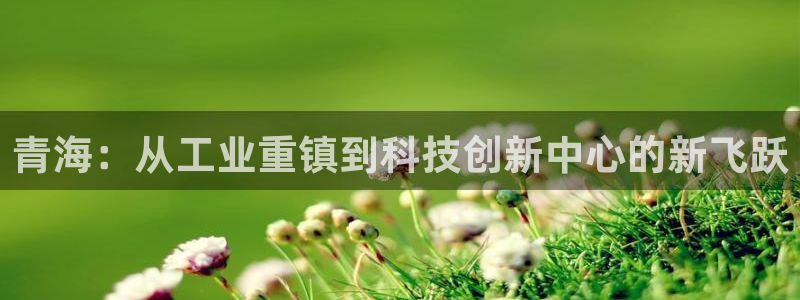 龙八国际客户端下载平台