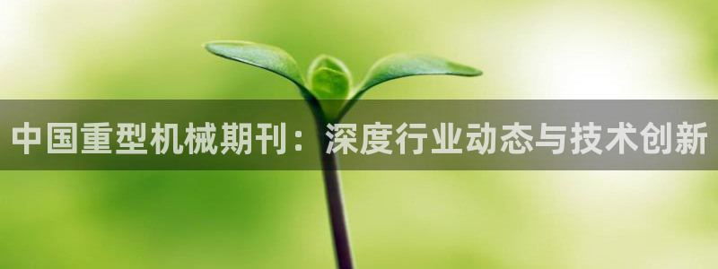 龙八国际游乐城