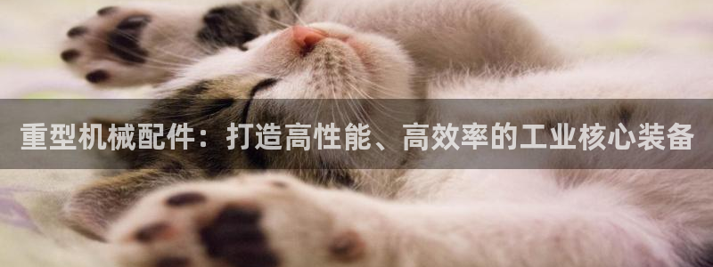 龙八国际不管吗