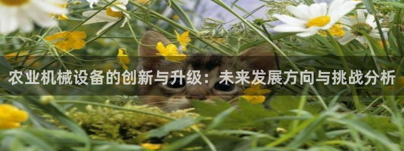 龙八国际手机客户端