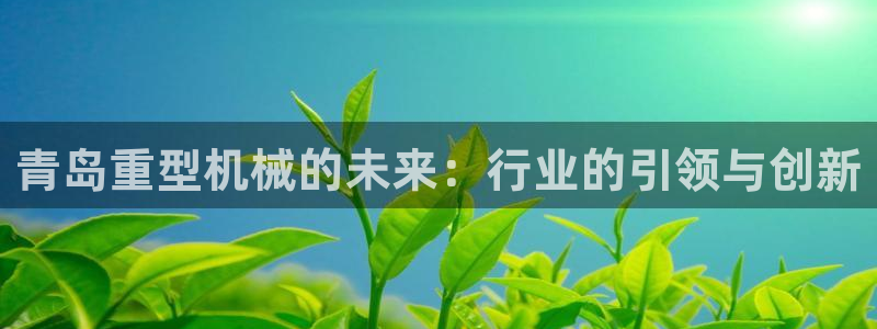 下载龙八国际网站