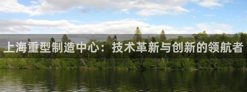 石家庄龙八国际老板是谁