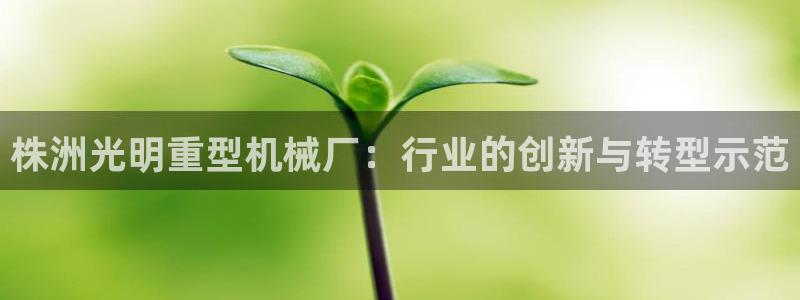 菲律宾龙八国际