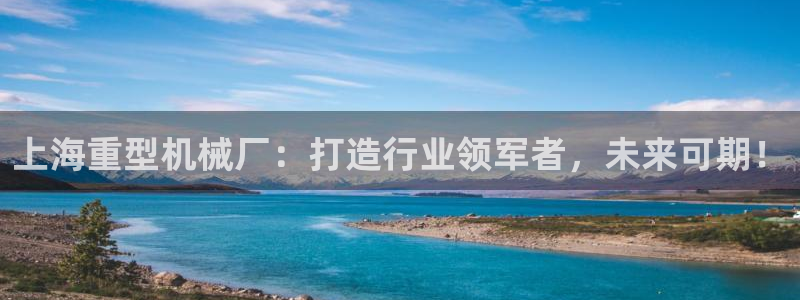 龙八国际官网网站