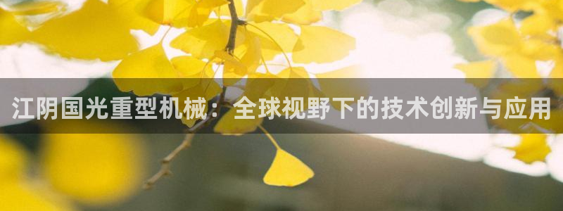 龙八国际什么诈骗