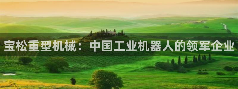 龙八国际什么诈骗