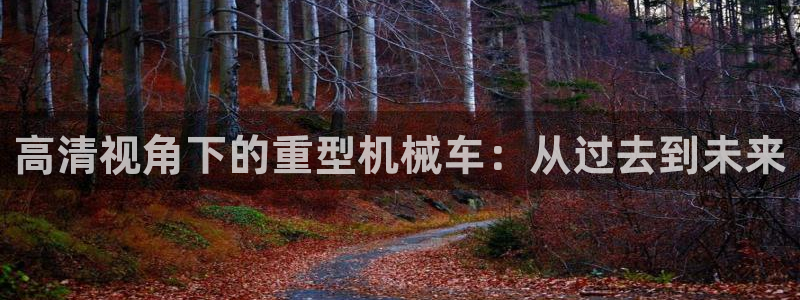 龙八国际手机下载安装