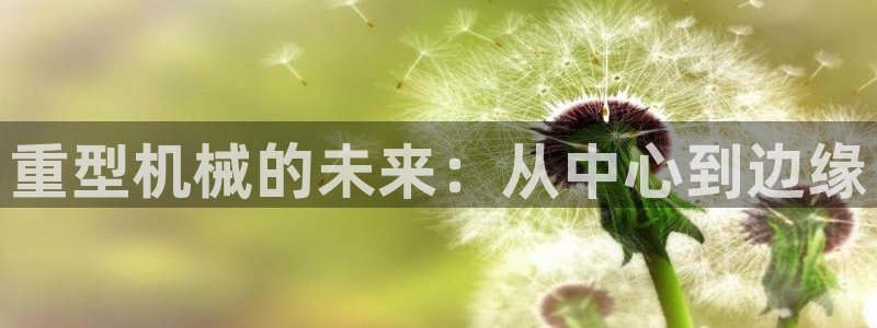 龙八国际害死多少人