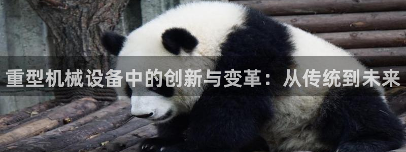 龙八国际网址是多少