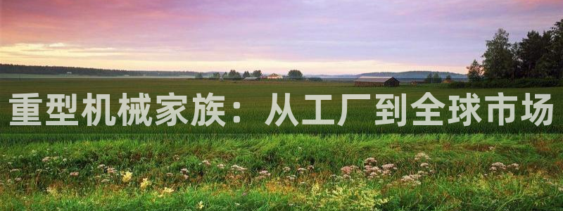 龙八国际娱乐在线