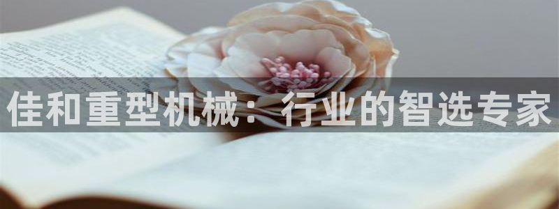 龙八国际管网登陆