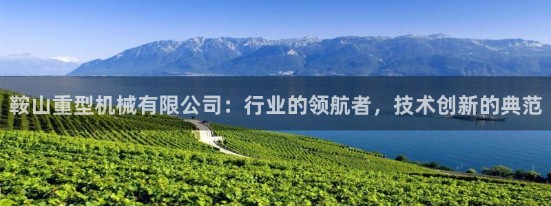 龙八国际平台网站