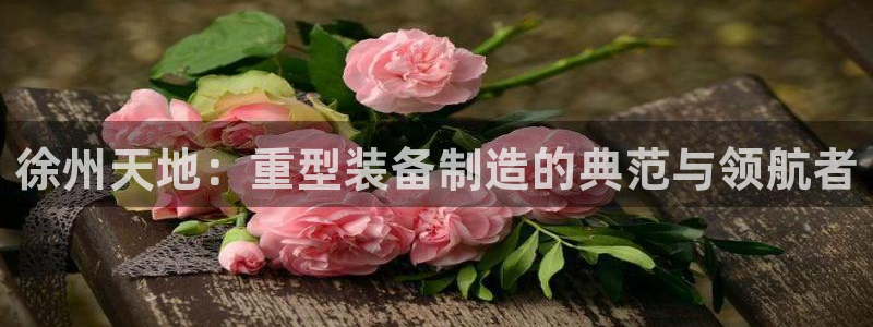 龙八国际Pt老虎机