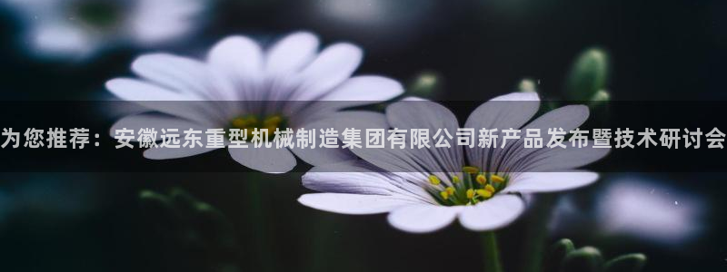 龙八国际网站多少