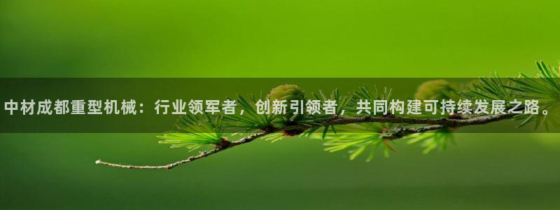 龙八国际技巧