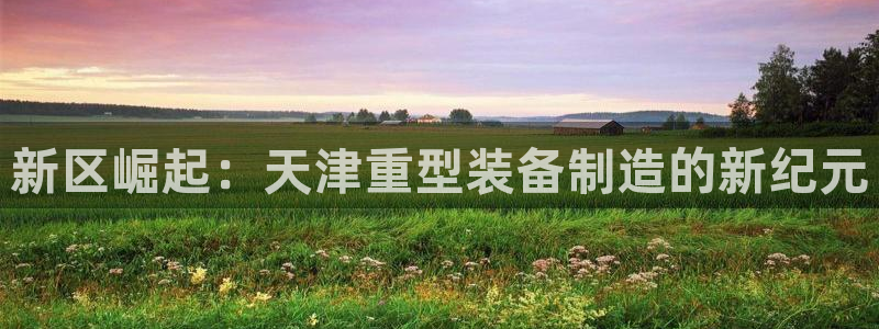 龙八国际赌博经验
