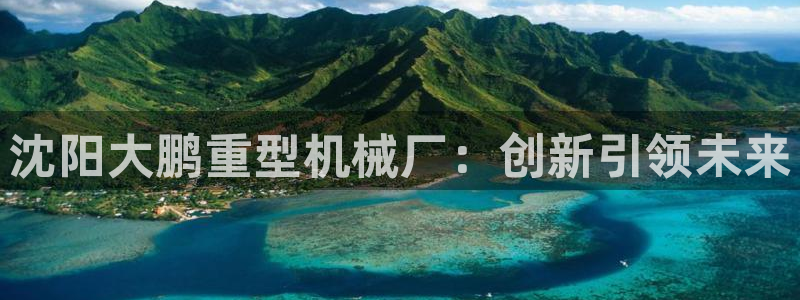龙八国际app