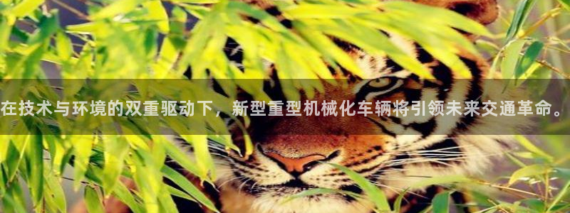 龙八国际电子游戏