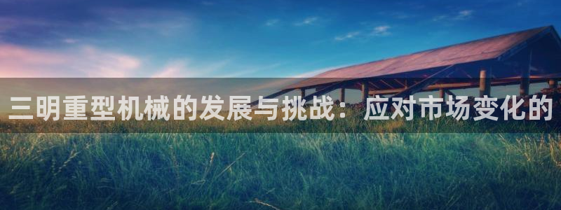 龙八国际贸易有限公司