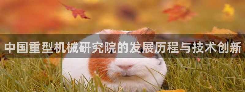 龙八国际官方网站入口
