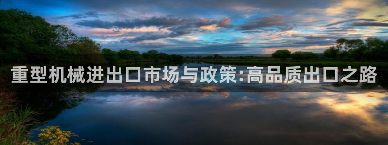龙八国际打开页面