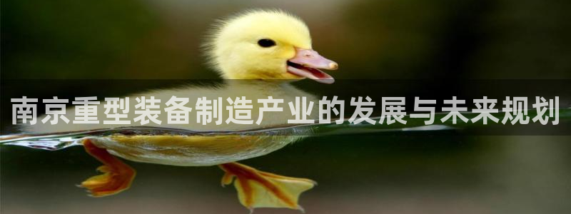 怎么举报龙八国际