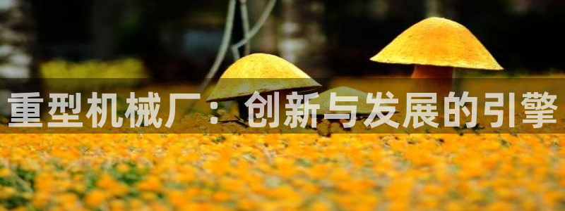 龙八国际彩金购买
